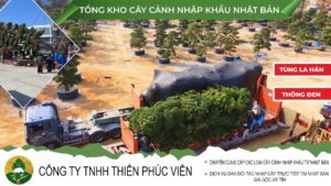 CÔNG TY TNHH THIÊN PHÚC VIÊN