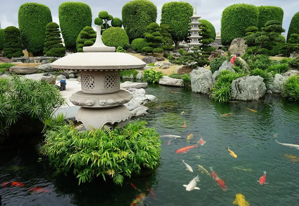 ý nghĩa của cây tùng la hán trong phong thủy