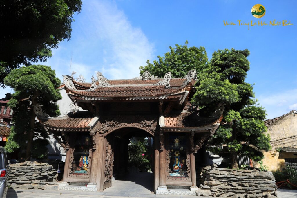 Ý nghĩa của cây tùng la hán