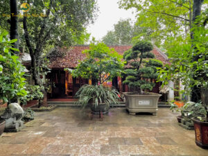 Vườn tùng la hán
