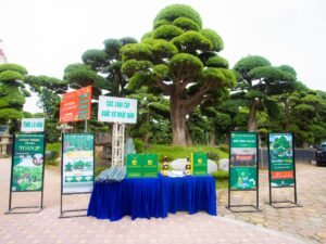 Lễ khai mạc sự kiện vàng