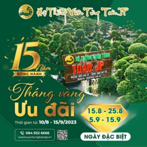 Sự kiện vàng toàn jp