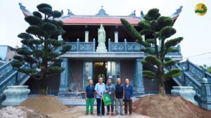 trồng tùng la hán ở nhà thờ