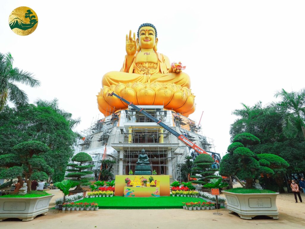 Trồng vạn tuế tại chùa khai nguyên