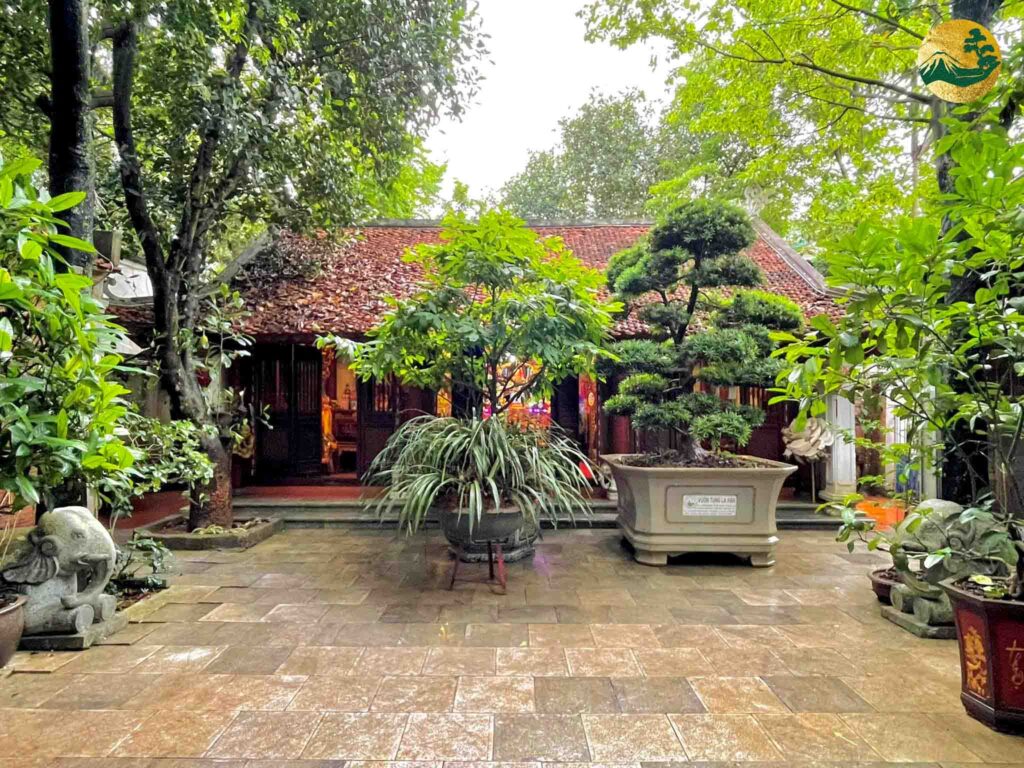 Nên trồng cây gì tại nhà thờ họ để hợp phong thủy?