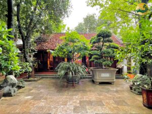 Nên trồng cây gì tại nhà thờ họ để hợp phong thủy?