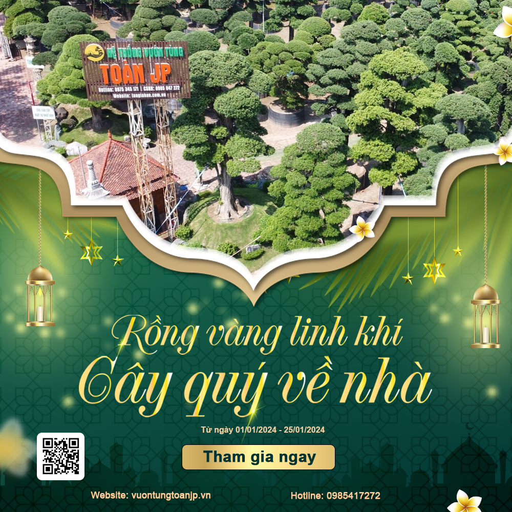 Sự kiện tết 2024 Rồng Vàng Linh Khí Cây Quý Về Nhà