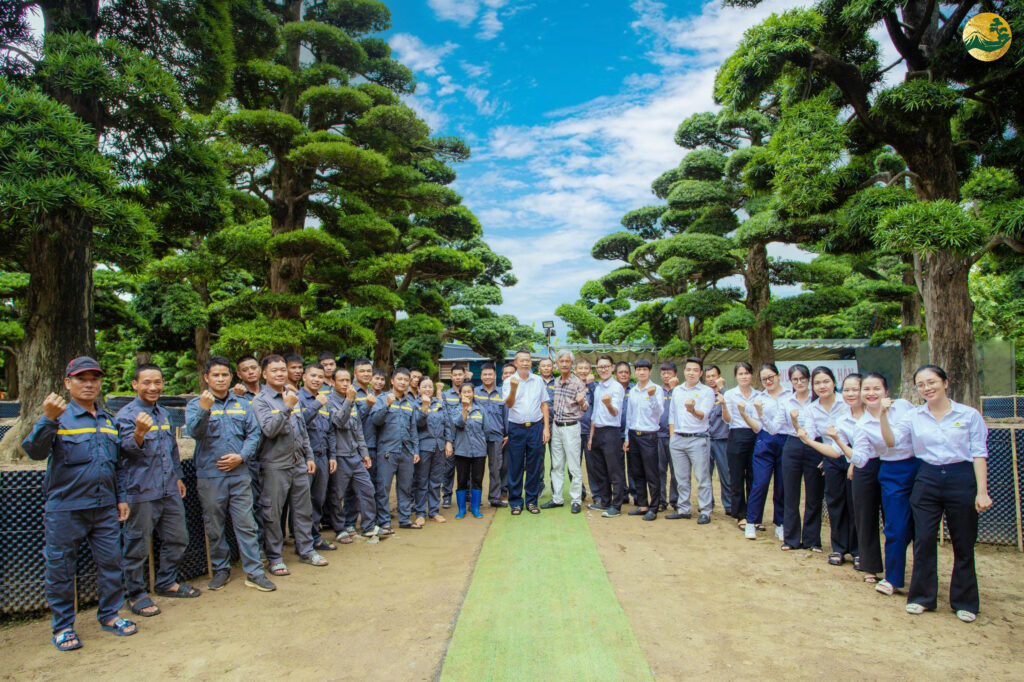 Hệ thống vườn tùng toàn jp