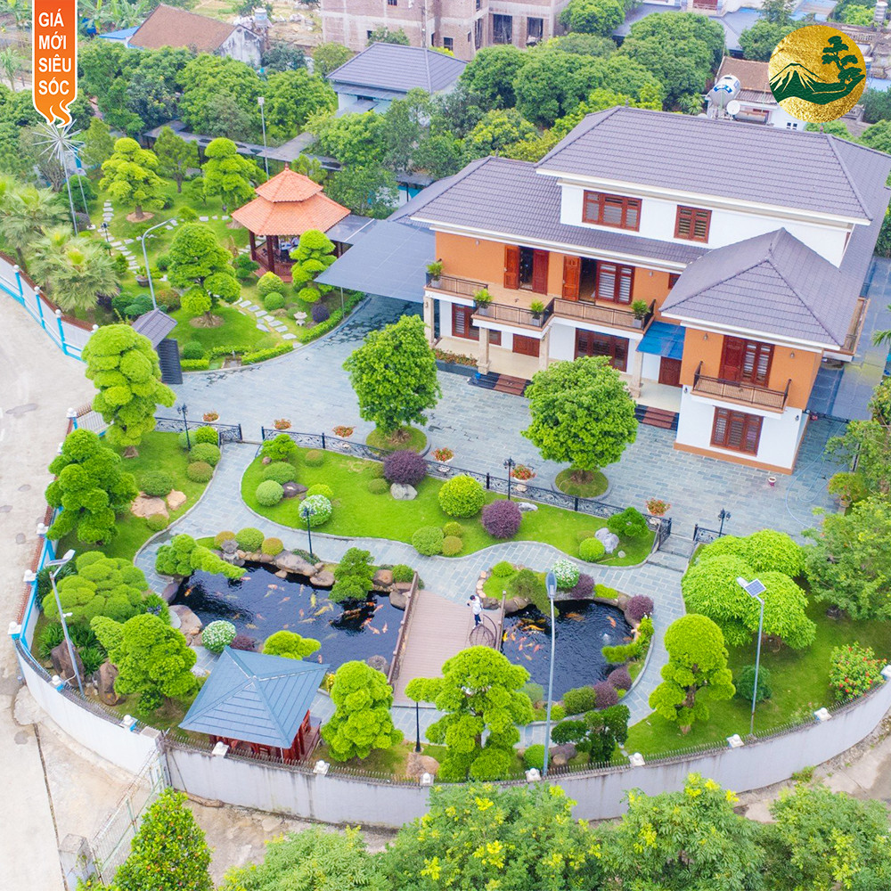 Đặc trưng của sân vườn Nhật Bản và các yếu tố cần có