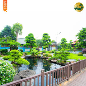 Nguồn gốc sân vườn Nhật Bản