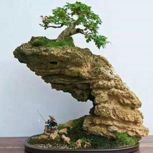 Nghệ thuật Penjing - Vẻ đẹp tinh tế của thiên nhiên thu nhỏ