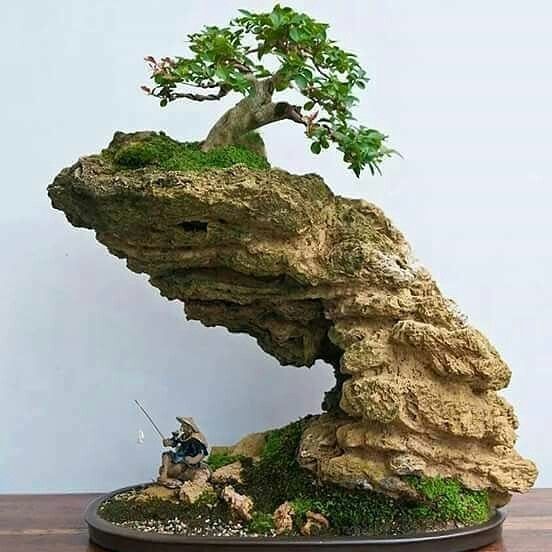 Nghệ thuật Penjing - Vẻ đẹp tinh tế của thiên nhiên thu nhỏ