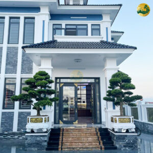 Thanh Long – Bạch Hổ - Bí Truyền Phong Thủy, An Lành Đón Tết