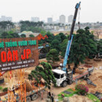 THông báo chuyển vườn -WEB