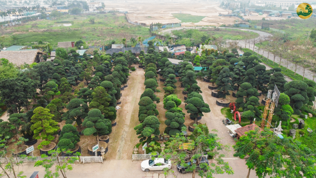 Nơi hội tụ tinh hoa của nghệ thuật vườn Nhật Bản, kết hợp hài hòa giữa yếu tố phong thủy, kiến trúc và cảnh quan tự nhiên