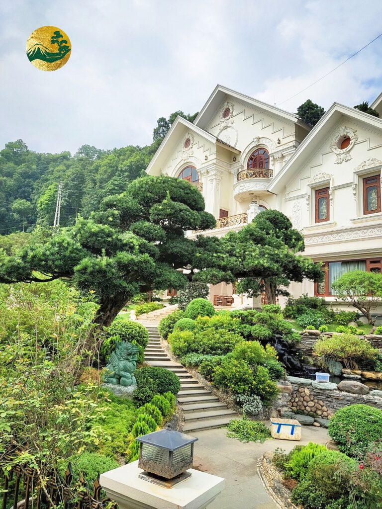 Trồng Tùng La Hán trước nhà có tốt không?