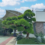 Các phong cách thiết kế sân vườn phổ biến hiện nay