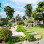 Vì sao nên trồng cây Tùng La Hán trong khu đô thị?