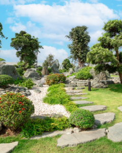 Vì sao nên trồng cây Tùng La Hán trong khu đô thị?