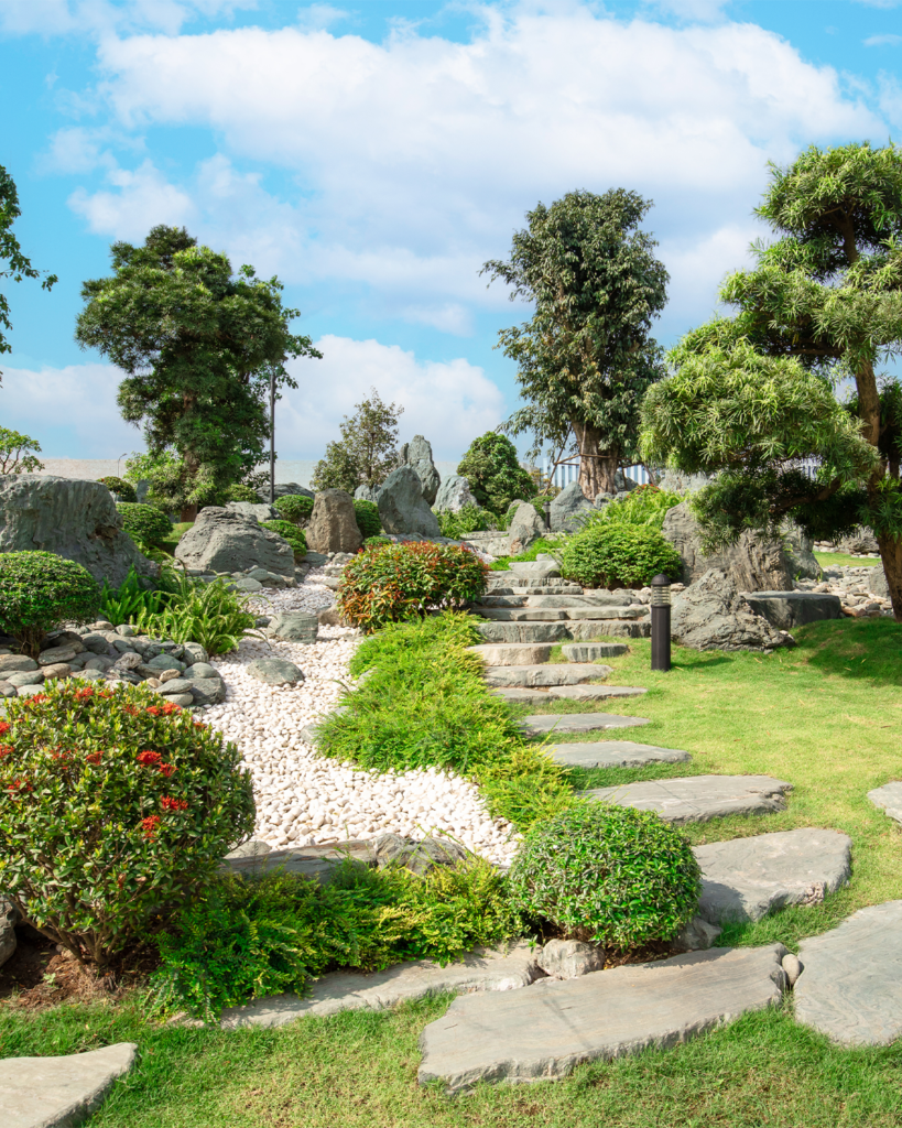 Vì sao nên trồng cây Tùng La Hán trong khu đô thị?