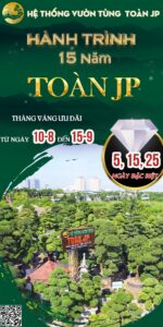 Sự kiện vàng toàn jp