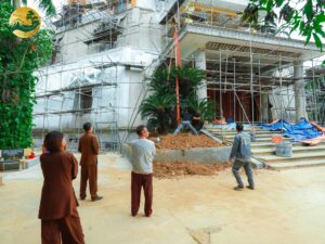 Trồng vạn tuế tại chùa khai nguyên