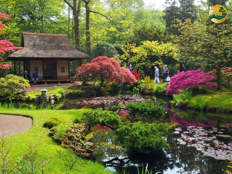 Hệ thống Vườn tùng Toàn JP - Vườn trà Chaniwa - Hài hòa giữa thiên nhiên và nghệ thuật