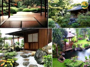 Hệ thống Vườn tùng Toàn JP - Vườn trà Chaniwa - Hài hòa giữa thiên nhiên và nghệ thuật