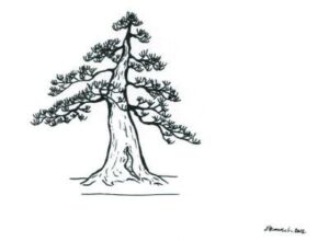 Lịch sử và nguồn gốc của nghệ thuật bonsai Nhật Bản